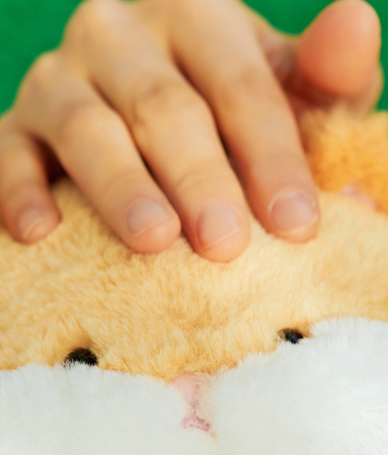 KAKAO FRIENDS - FRIENDZOO Peluche Chunsik - Detail 7