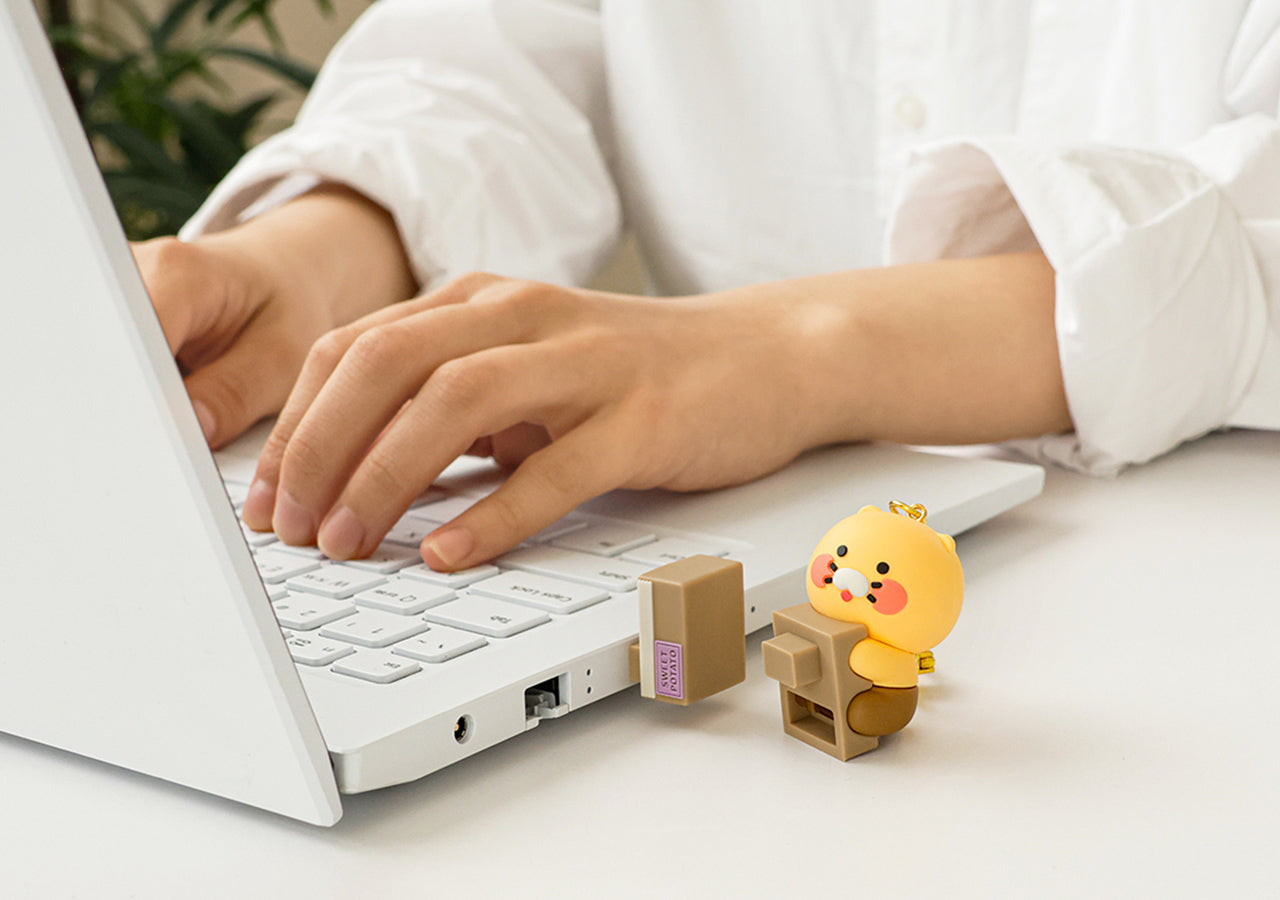 KAKAO FRIENDS - 64GB USB Figurine Porte-cles Chunsik - Detail 8