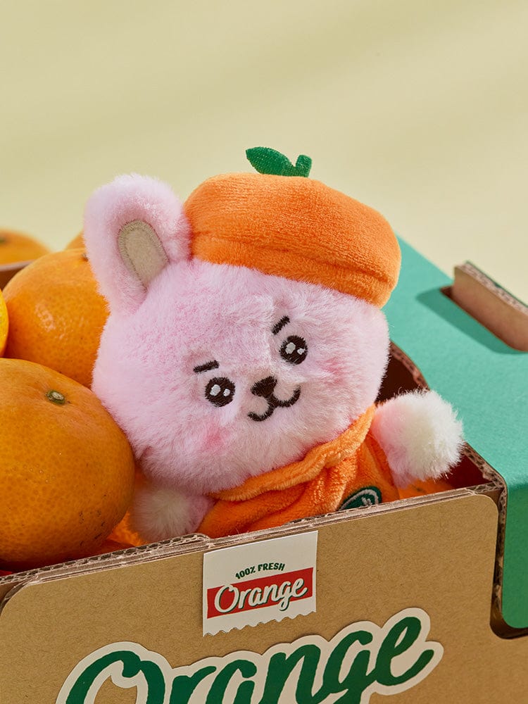 BT21 COOKY BABY PLUSH ORANGE PARTY : peluche orange COOKY sur boîte Orange, décor chambre, officiel LINE, mignonne