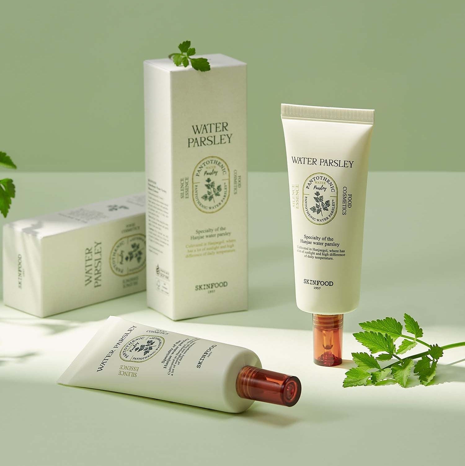 SKINFOOD Pantothenic Water Parsley Silence Essence 70ml, produit soin SKINFOOD avec feuilles de persil sur fond vert, image studio