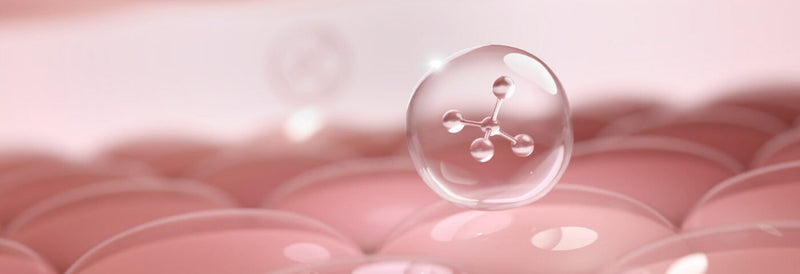 PDRN : la molécule star de la K-beauty 2026 (8 marques comparées)