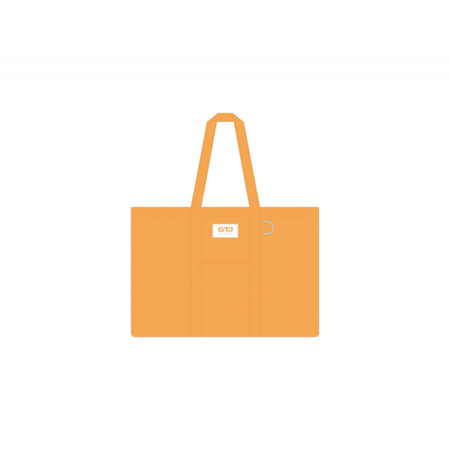Son Tae Jin - Eco Bag - MD Officiel Tournée [It's Son Time]