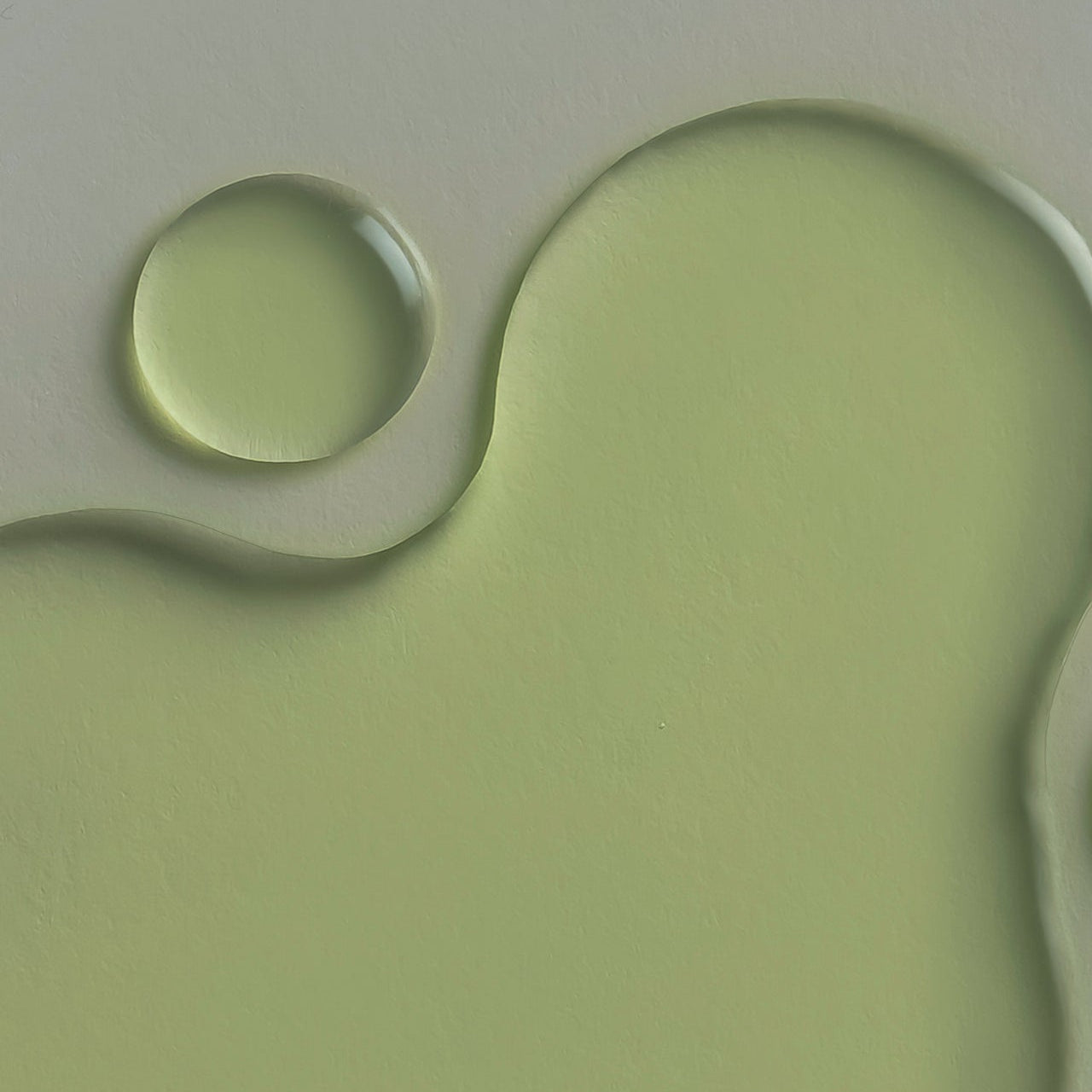 WHAMISA Cactus Inner Skin Moisture Bouncy Serum 52ml