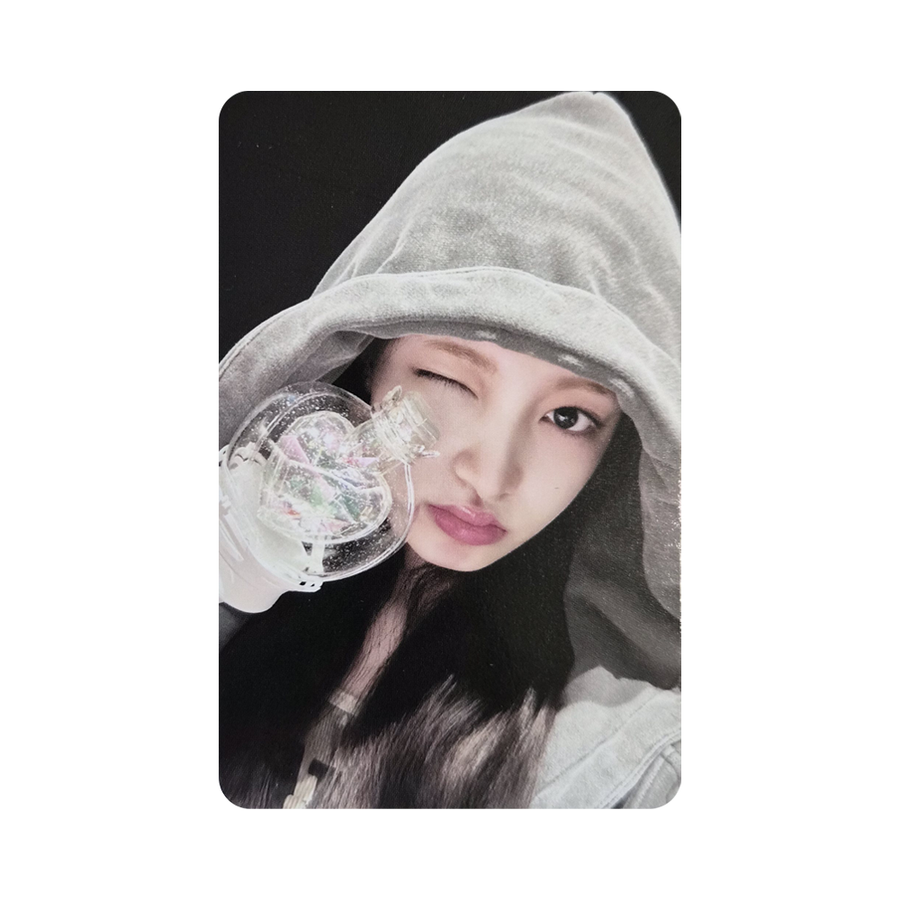 IVE Carte Photo Officiel Ver.2 (Liz)
