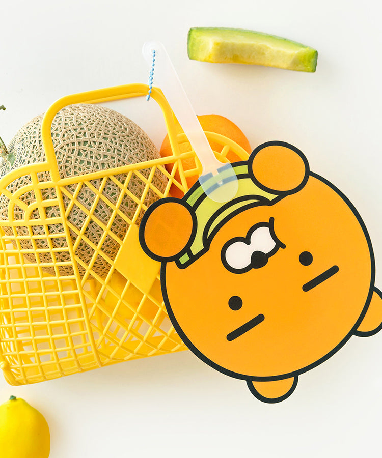 KAKAO FRIENDS - PP Ryan - Detail 3
