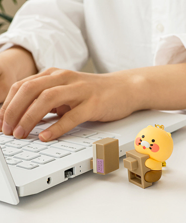 KAKAO FRIENDS - 64GB USB Figurine Porte-cles Chunsik - Detail 8