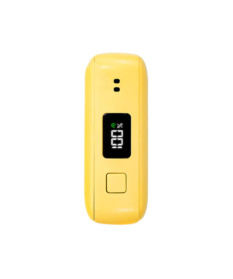 Batterie Externe Chunsik - Kakao Friends