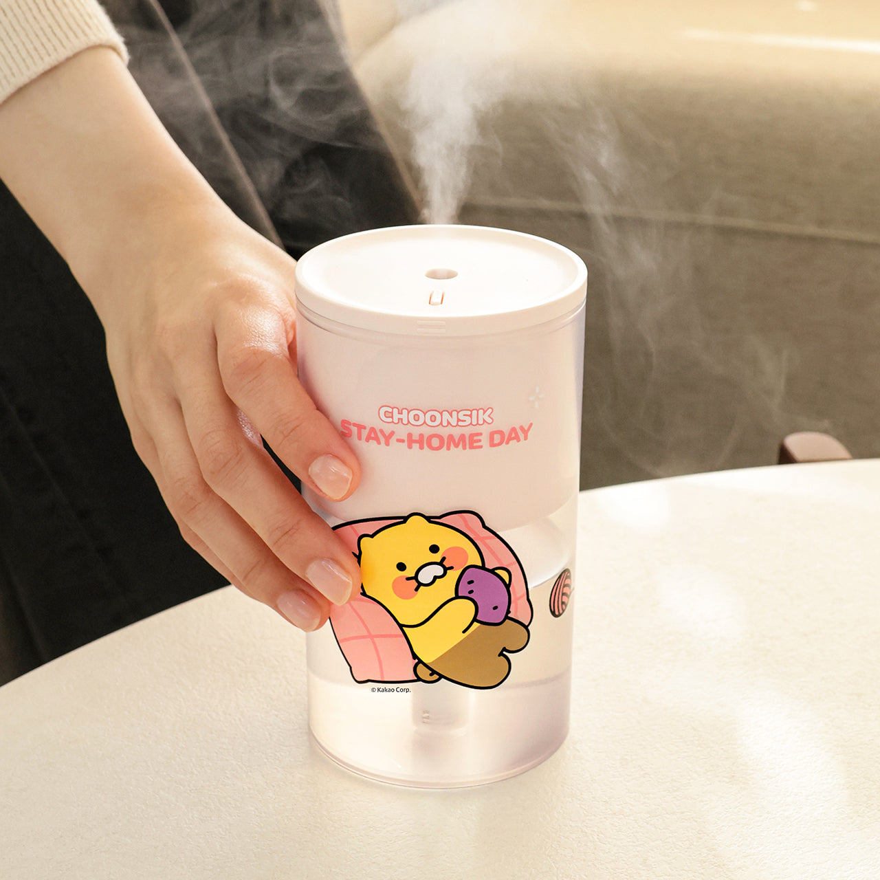 KAKAO FRIENDS - Chunsik