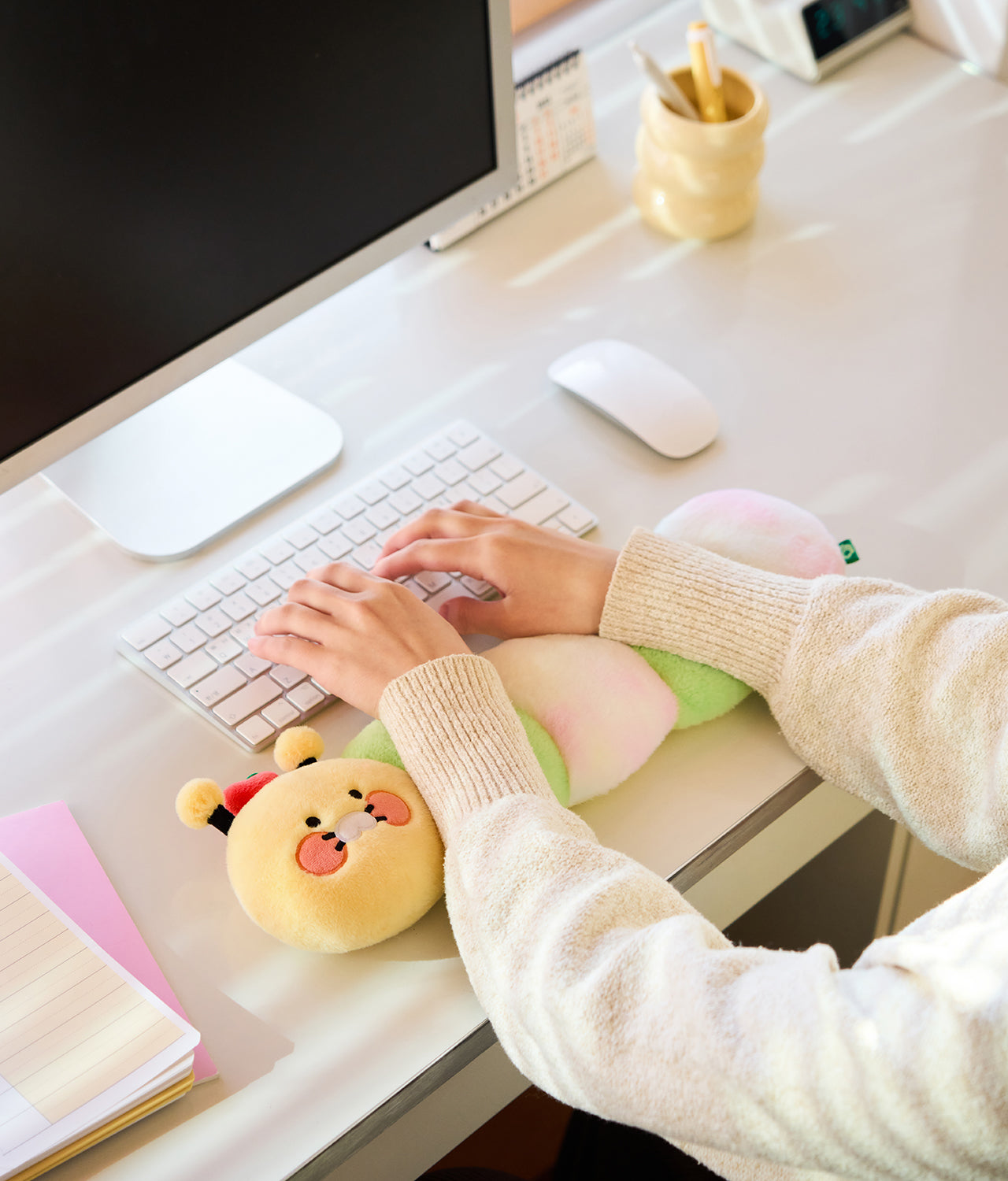 KAKAO FRIENDS - Coussin Chunsik - Detail 4