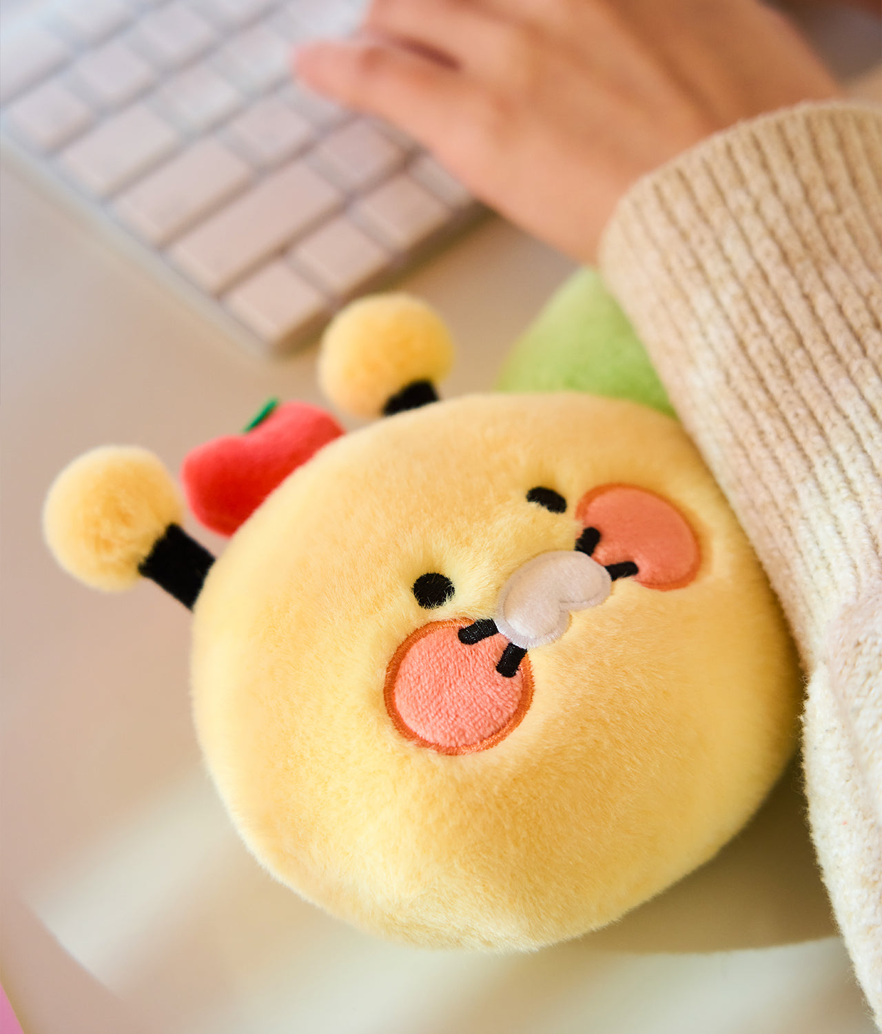 KAKAO FRIENDS - Coussin Chunsik - Detail 5