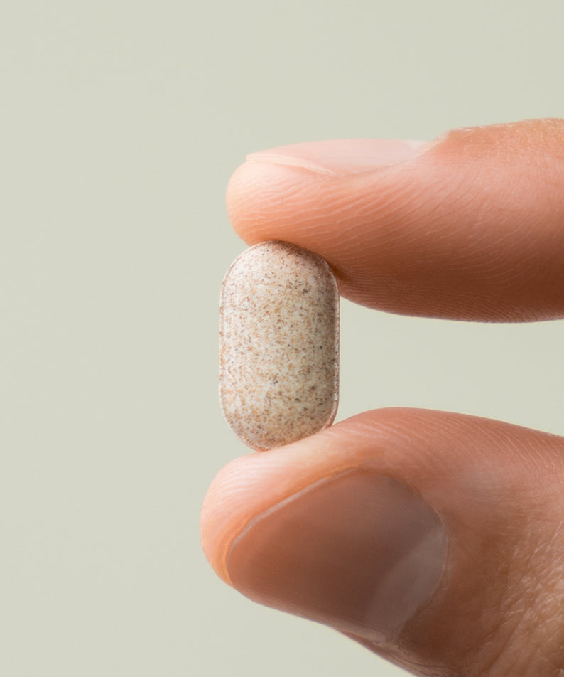 LAZY SOCIETY Black Maca Plus Supplement 120 Tablets