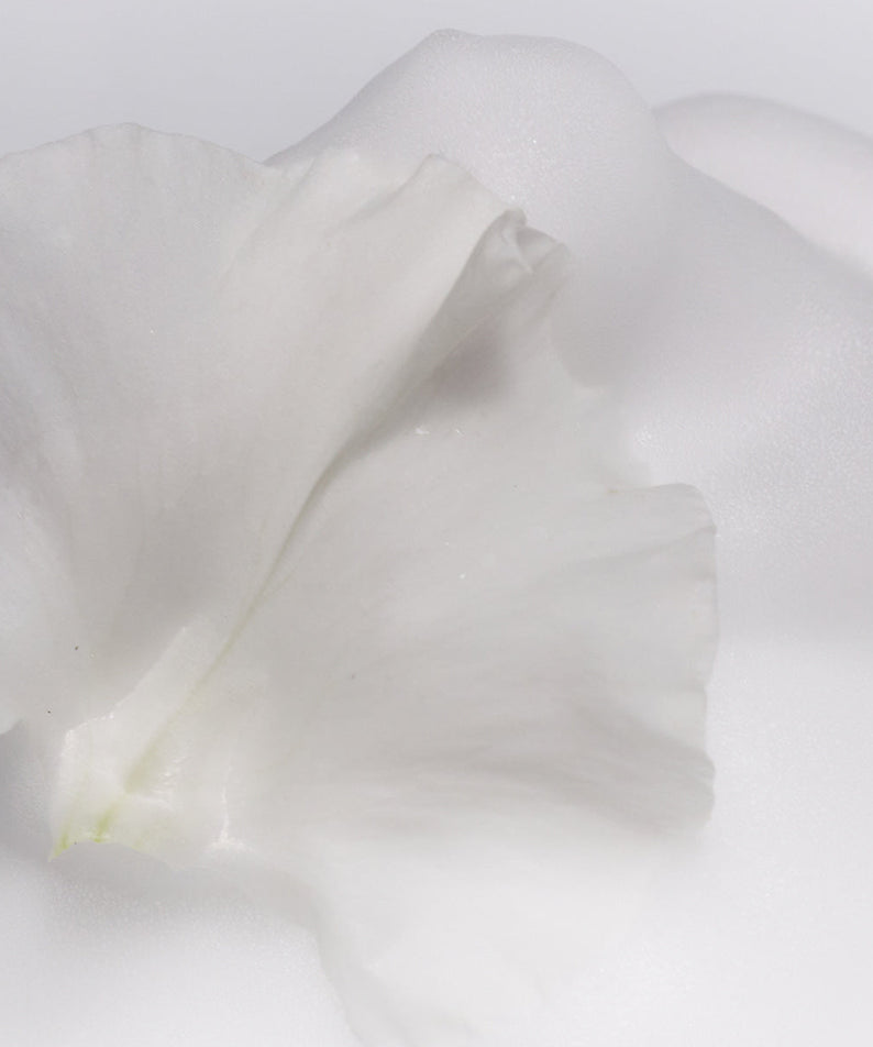 XOUL Rose Solution Y Foam 150ml