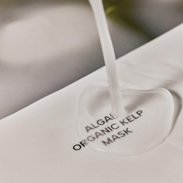 WHAMISA Algae Organic Kelp Mask