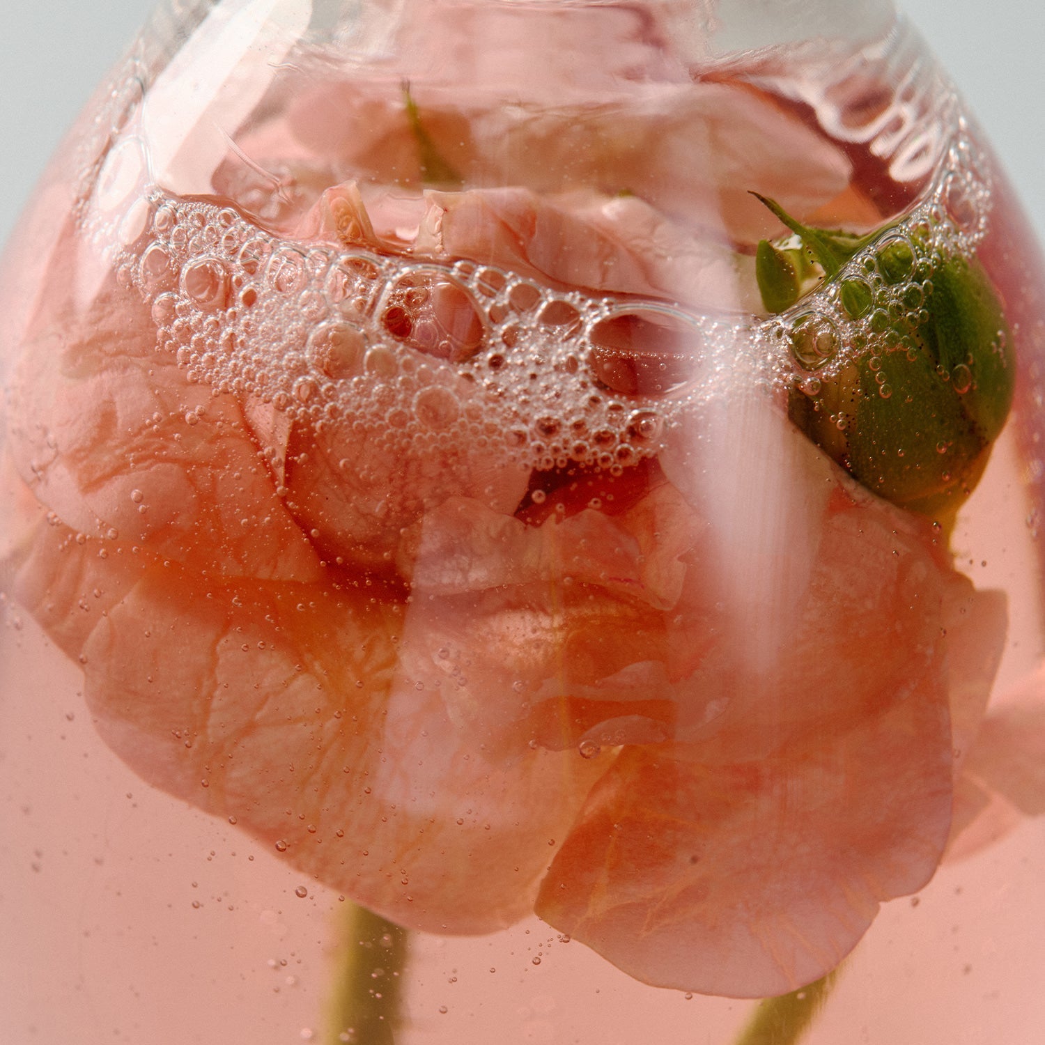 AROMATICA Grace Perfume Body Lotion Rose & Geranium 300ML, marque en contexte visuel rose géranium, texture rosée