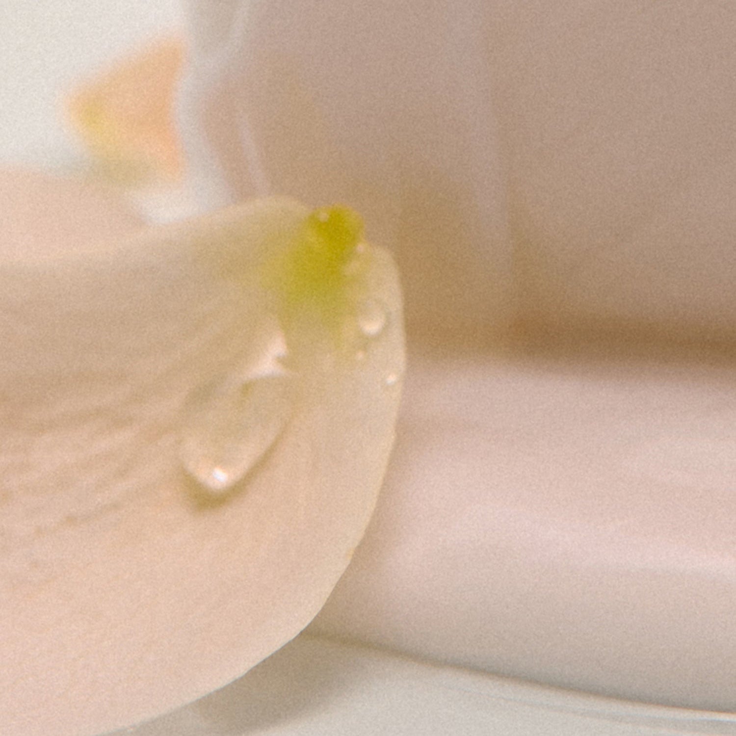 AROMATICA Grace Perfume Body Lotion Rose & Geranium 300ML