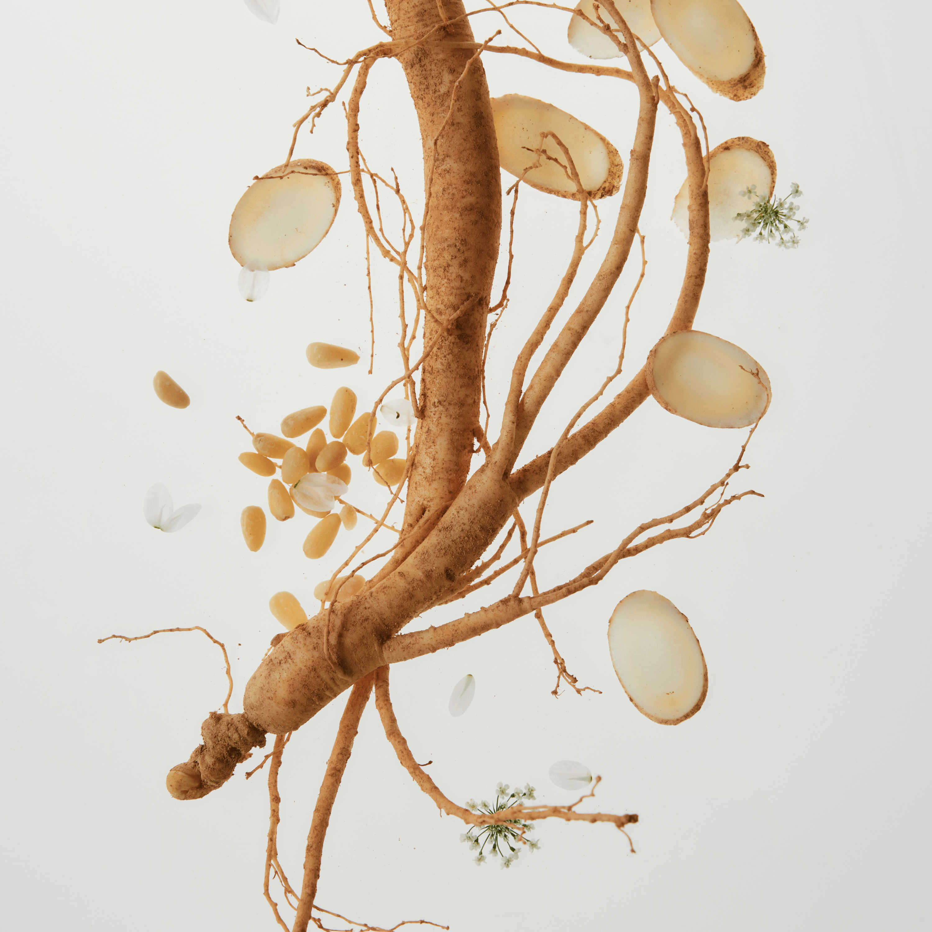 BEAUTY OF JOSEON Ginseng Essence Water 150ml, flacon produit sur fond blanc, racines de ginseng et feuilles décoratives, marque.