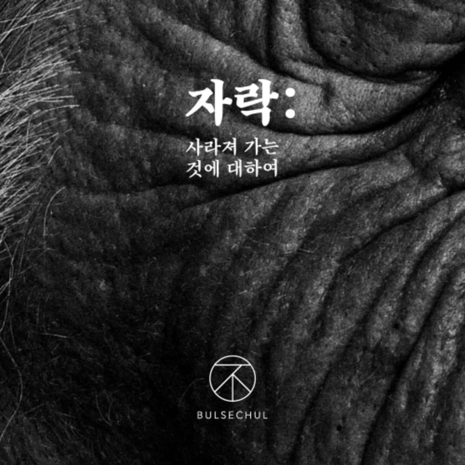BULSECHUL - [: ] - Album Kpop : pochette sombre avec tissu froissé et logo BULSECHUL, style K-pop