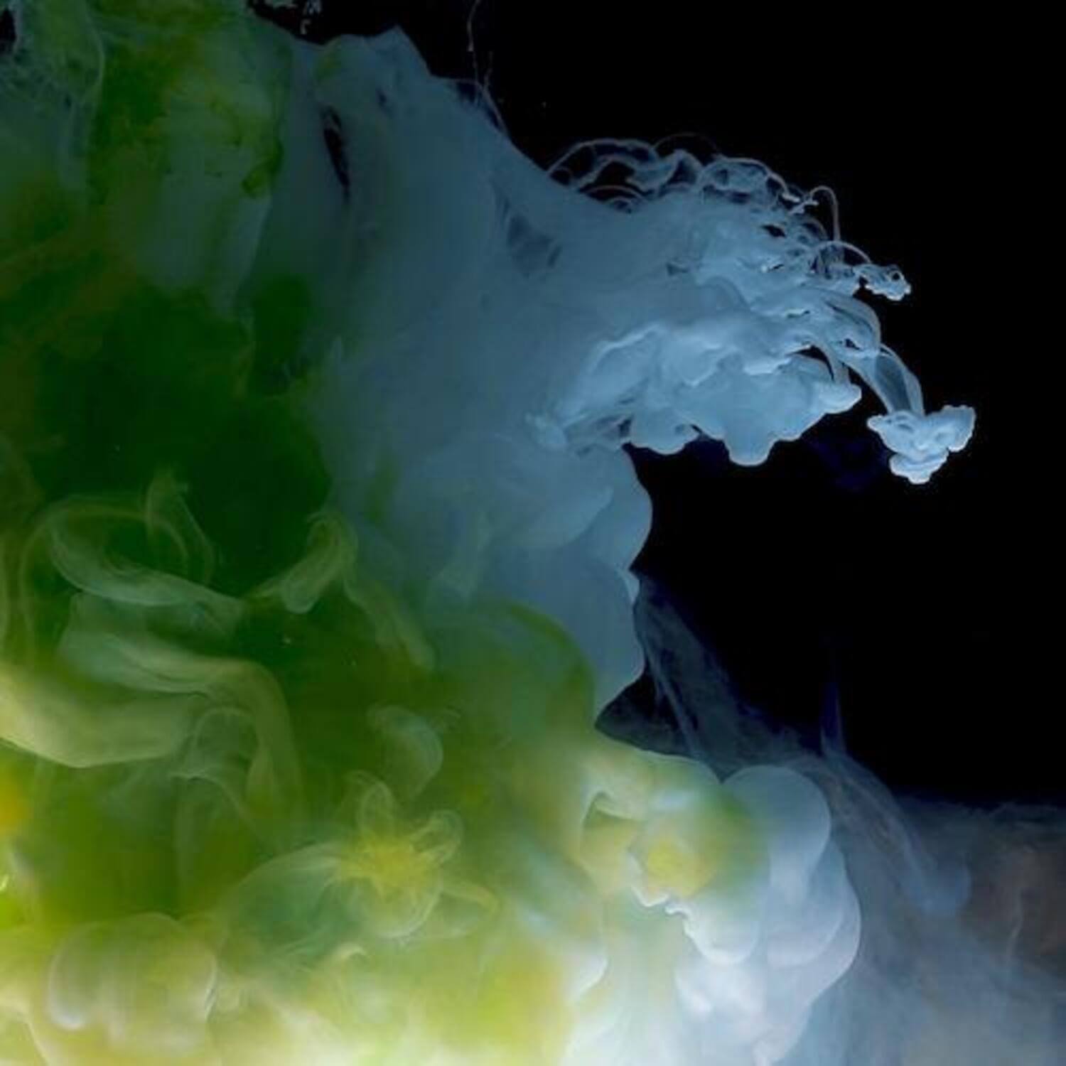 FANA - 4th Album [FANABYSS] - Album Kpop : visuel brumeux bleu-vert, produit FANA en arrière-plan sombre.