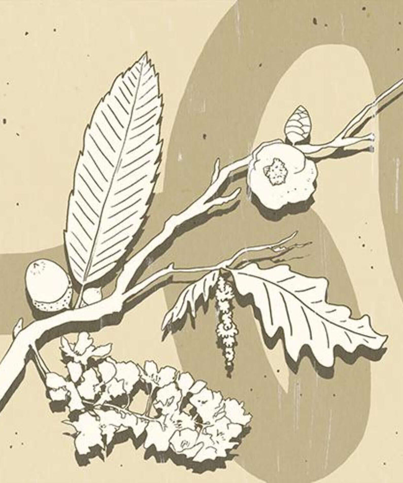 GUNWOO - [SEASONS] - Album Kpop : visuel album de GUNWOO, fleurs et branche sur fond beige, style saisonnier.