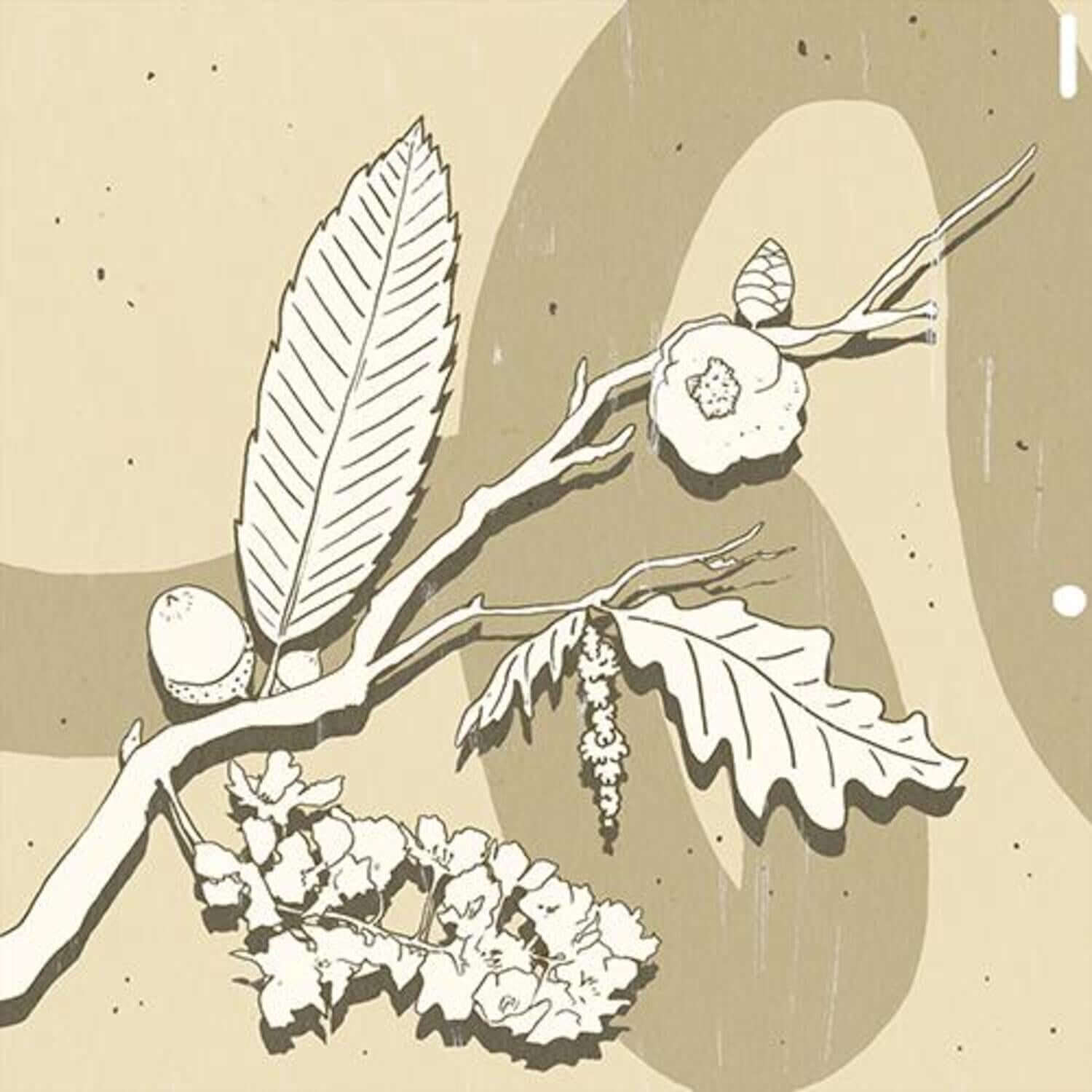 GUNWOO - [SEASONS] - Album Kpop : visuel album de GUNWOO, fleurs et branche sur fond beige, style saisonnier.