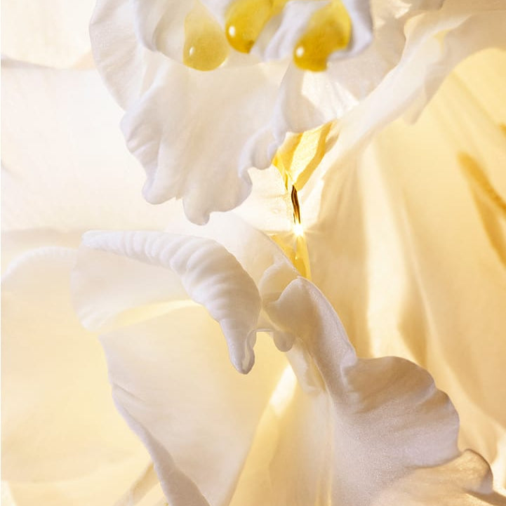 HERA  Signia Illuminating Serum 30ml