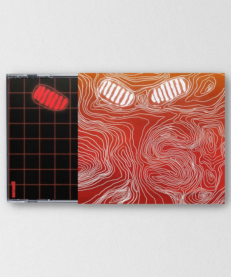 HONG DABIN - [senseS] - Album Kpop : pochette sur fond clair, design orange abstrait, visuel d’album Kpop de la marque.