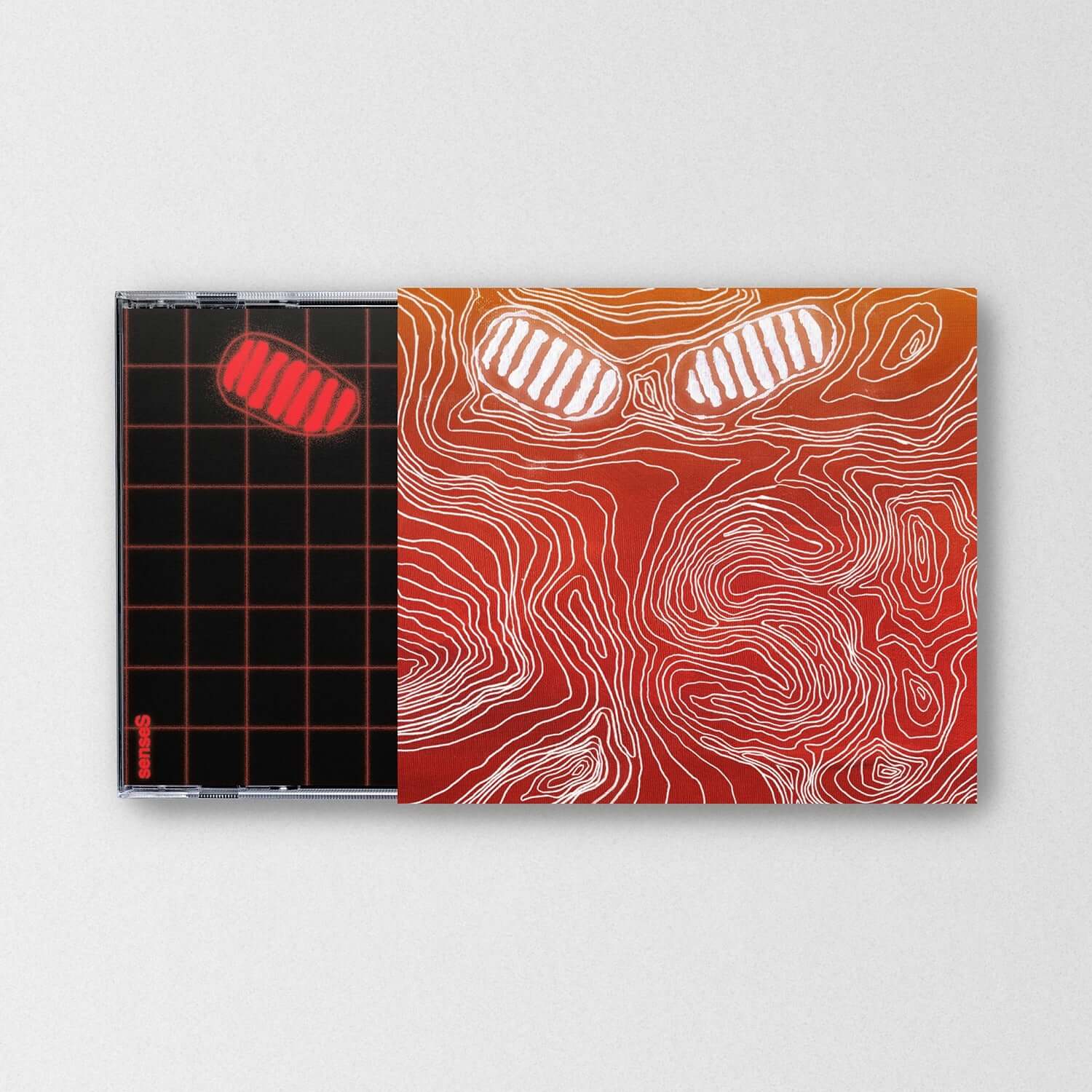HONG DABIN - [senseS] - Album Kpop : pochette sur fond clair, design orange abstrait, visuel d’album Kpop de la marque.