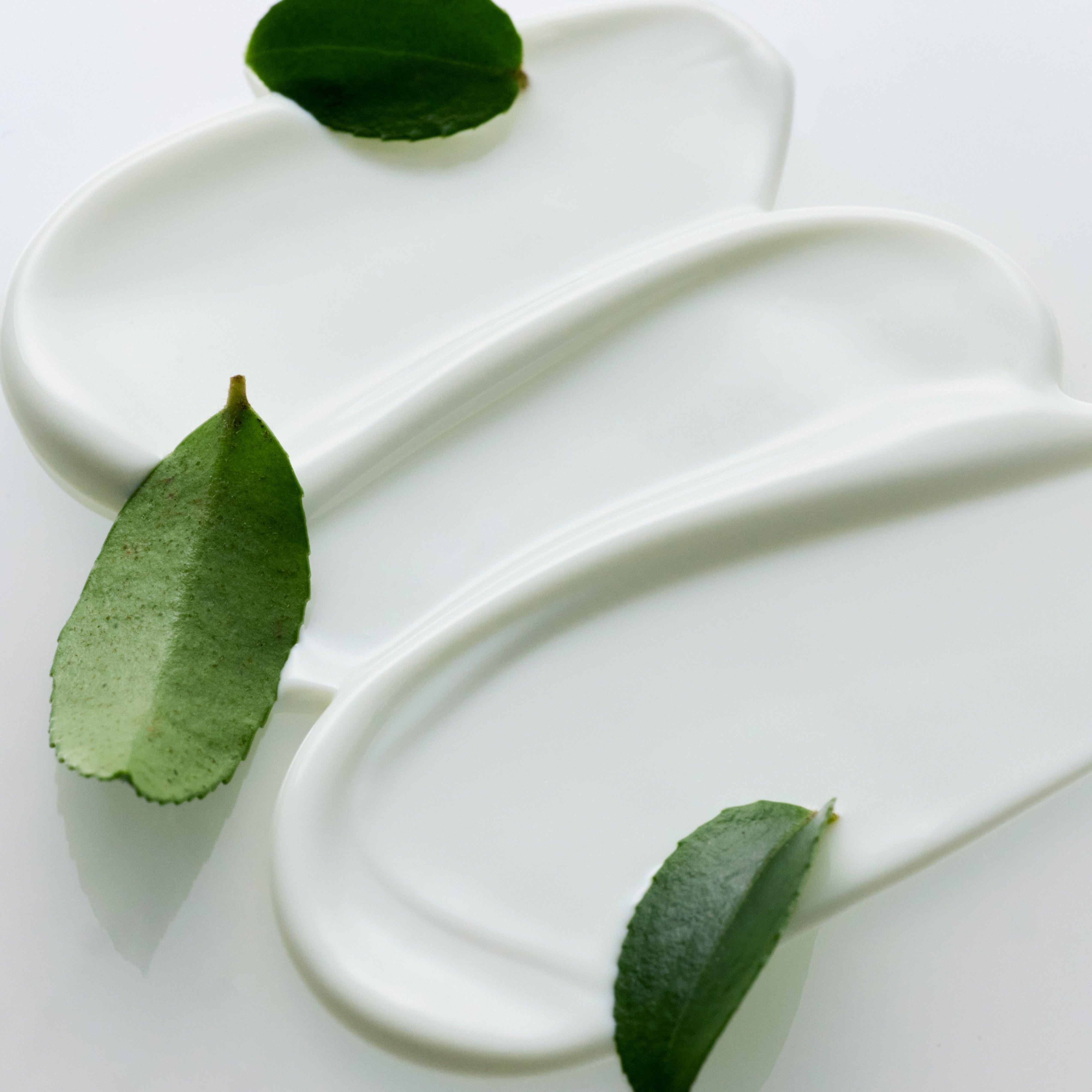 HOUSE OF HUR Matcha Light Sun Cream 50ml