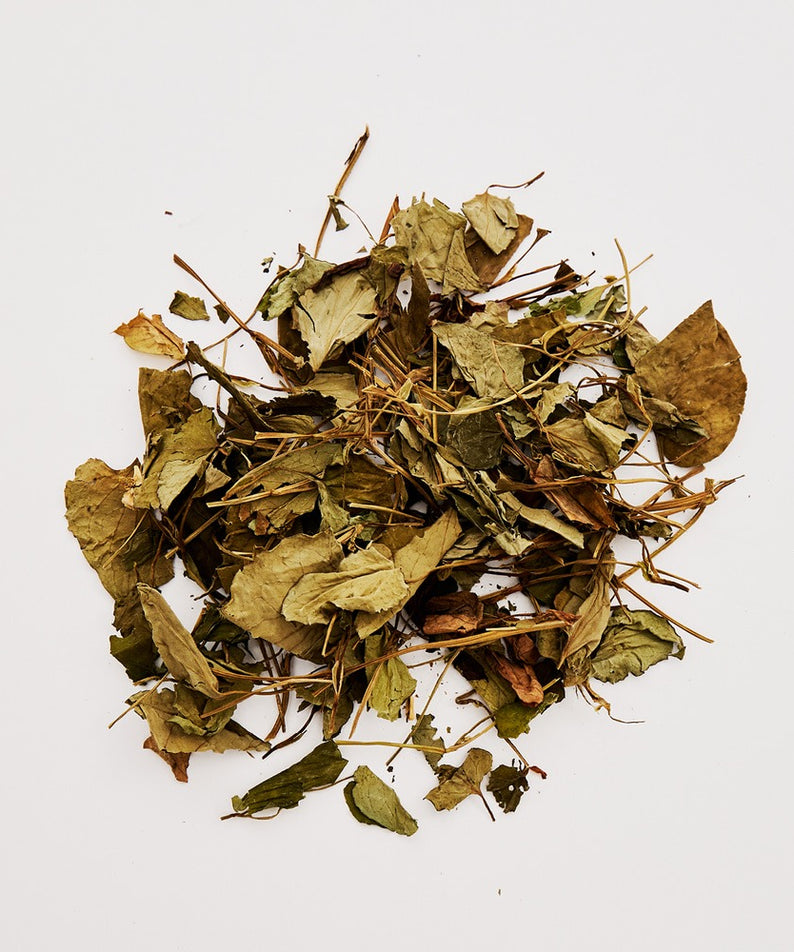 JOODOC  Function No. 2 Organic Mugwort 88% Toner 250ml, feuilles de mugwort séchées sur fond blanc