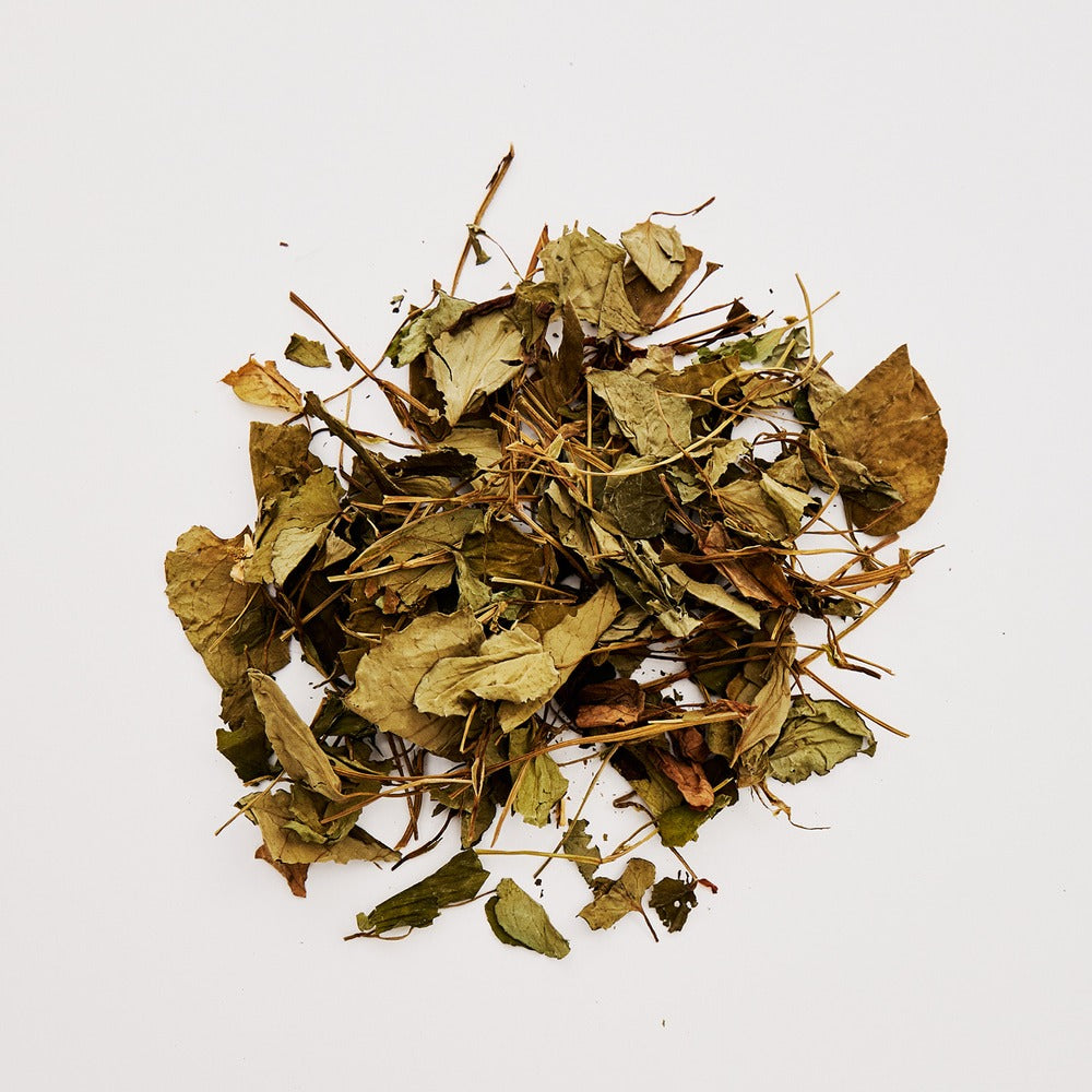 JOODOC  Function No. 2 Organic Mugwort 88% Toner 250ml, feuilles de mugwort séchées sur fond blanc