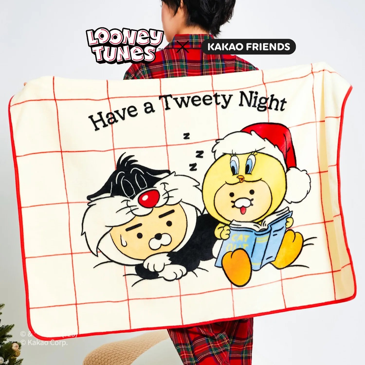 KAKAO FRIENDS  Looney Tunes X Friends Blanket Little Ryan & Baby Chunsik, couverture illustrée avec personnages Looney Tunes.