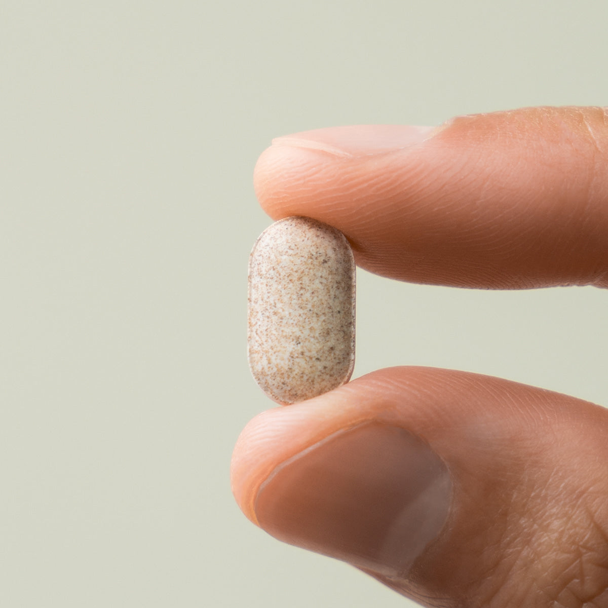 LAZY SOCIETY Black Maca Plus Supplement 120 Tablets : gélule de complément à base de maca noir, main tenant le comprimé.