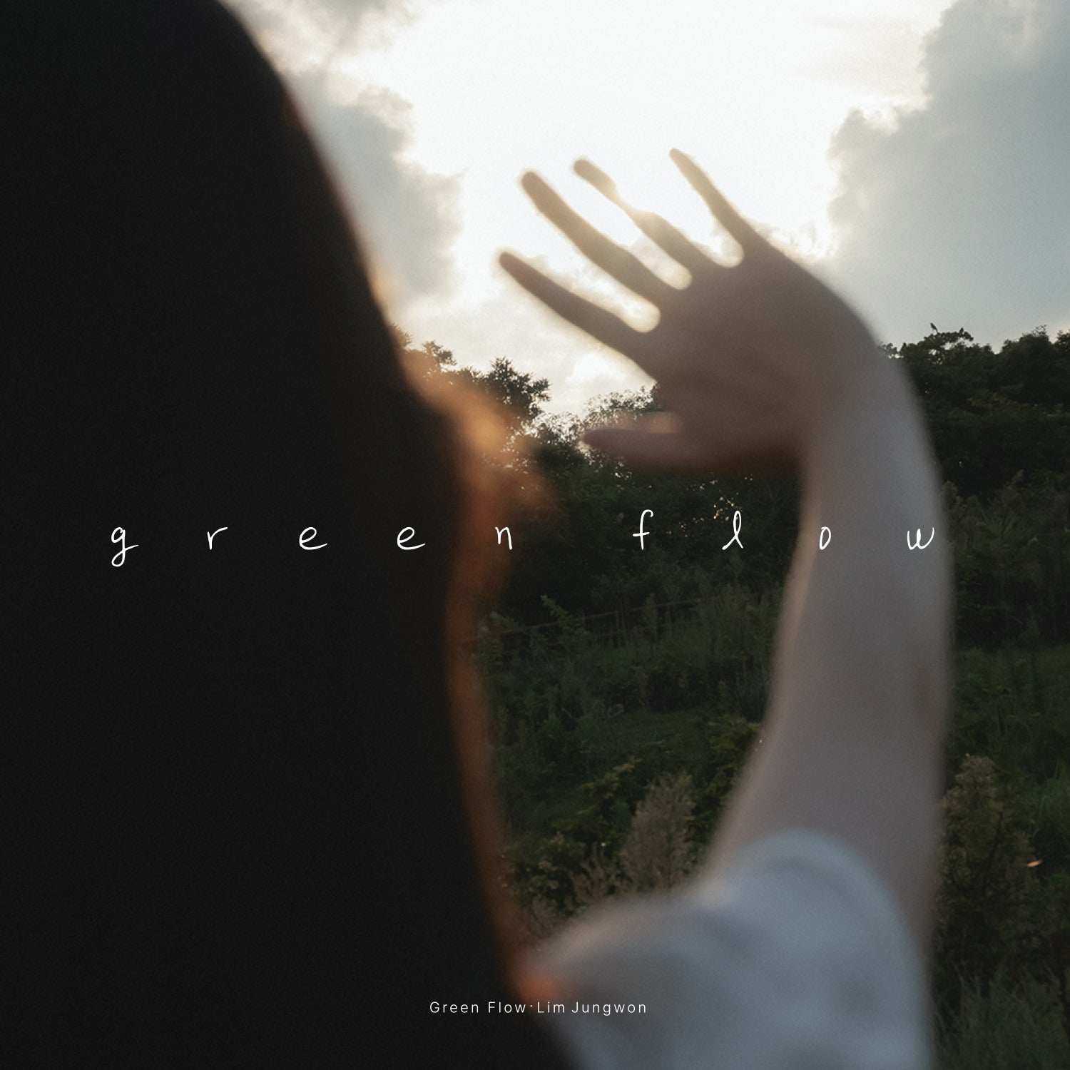 LIM JUNGWON - [Green Flow] - Album Kpop, couverture verdoyante au coucher de soleil, style photo, ambiance nature.