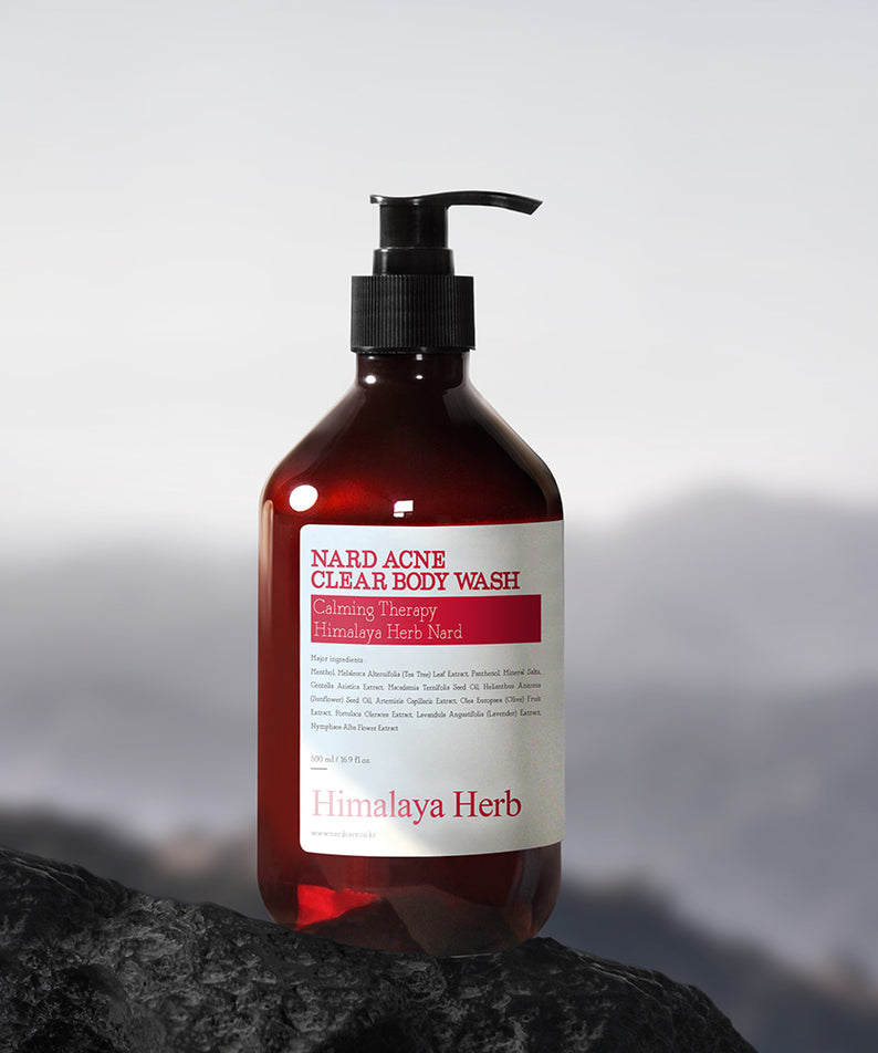Décris l'image en français : NARD Acne Relief Body Wash 500ml Himalaya Herbe, flacon pompe sur rocher, fond montagnes