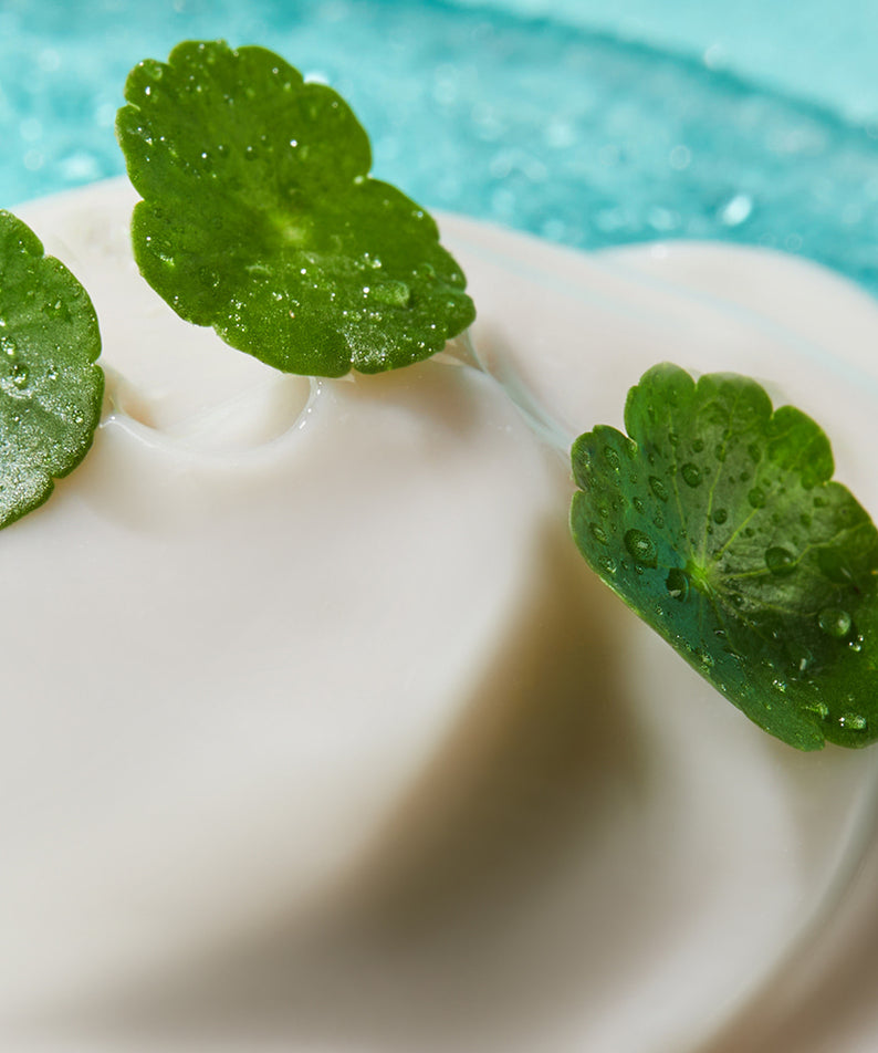 Texture de la NEOGEN Hyal Exosome Cream 40ml avec feuilles vertes, crème hydratante luxueuse pour une peau éclatante.