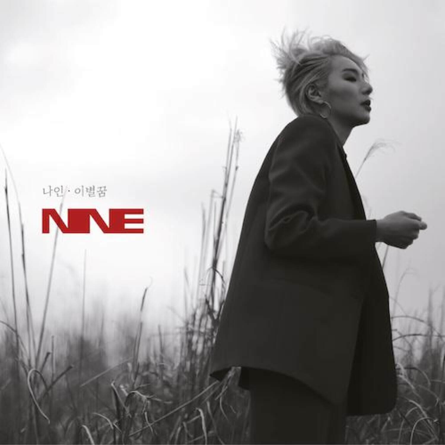 NINE9 - Album Kpop NINE9, couverture avec femme en extérieur, style K-pop, ambiance champ de fleurs et ciel blanc.