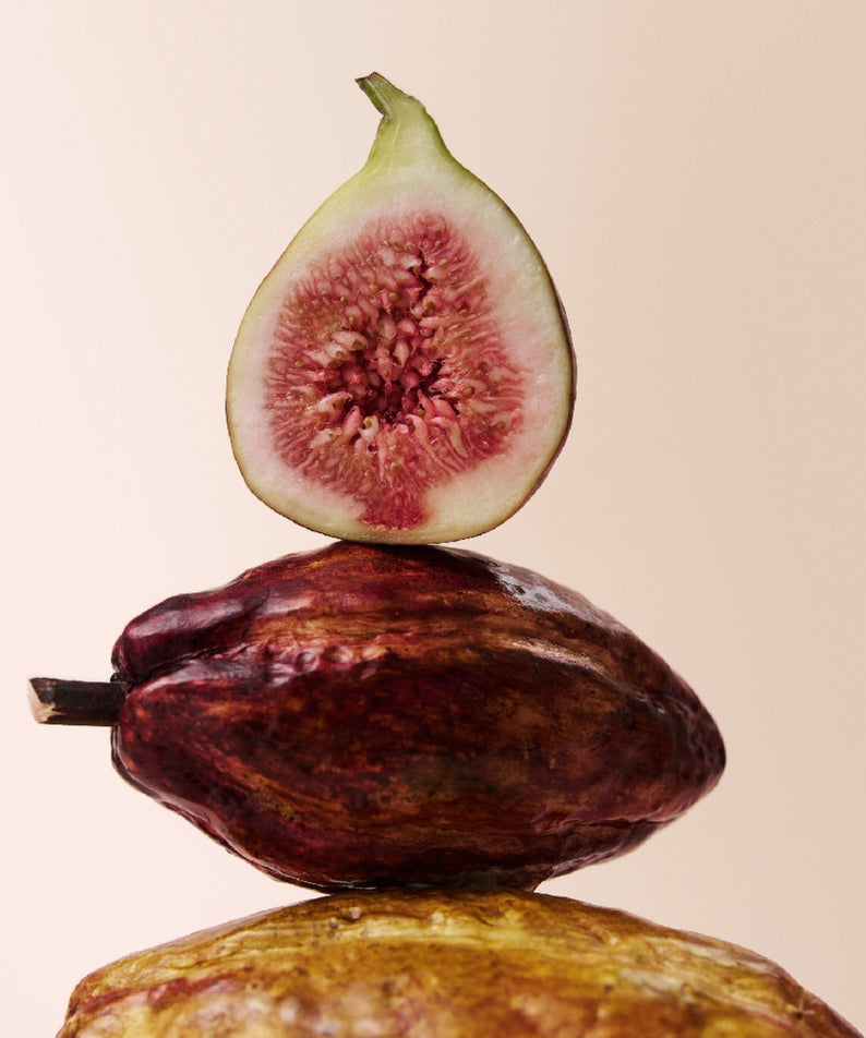 OSULLOC Fig Chocolate Black Tea 20 P, marque OSULLOC, figue et cacao sur fond clair, photo produit.