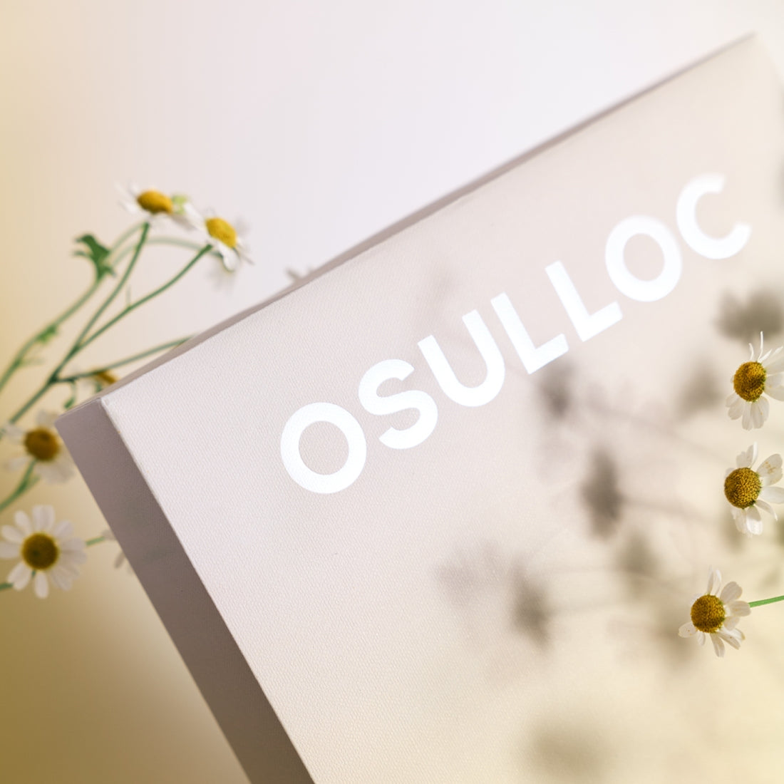 OSULLOC Tea Edition Herb 4 Types : boîte de thé aux herbes, marque OSULLOC, fleurs sauvages en décor naturel, fond clair