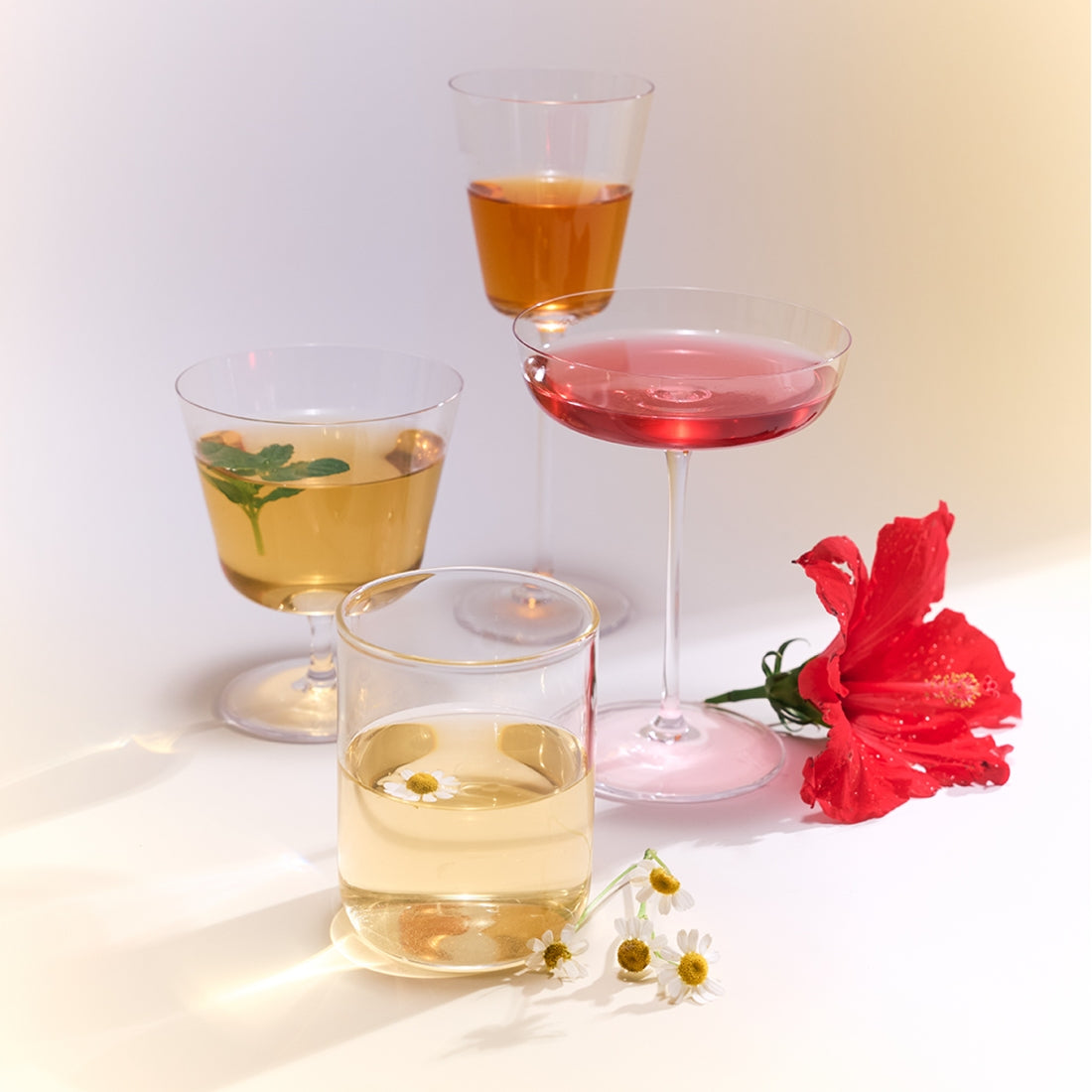 OSULLOC Tea Edition Herb 4 Types, marque OSULLOC, tasses de thé aux herbes et fleurs rouges sur fond clair