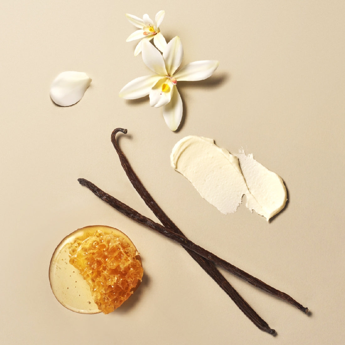OSULLOC Vanilla Honey Black Tea 20 P, thé noir à la vanille et miel, fleurs et épices sur fond beige