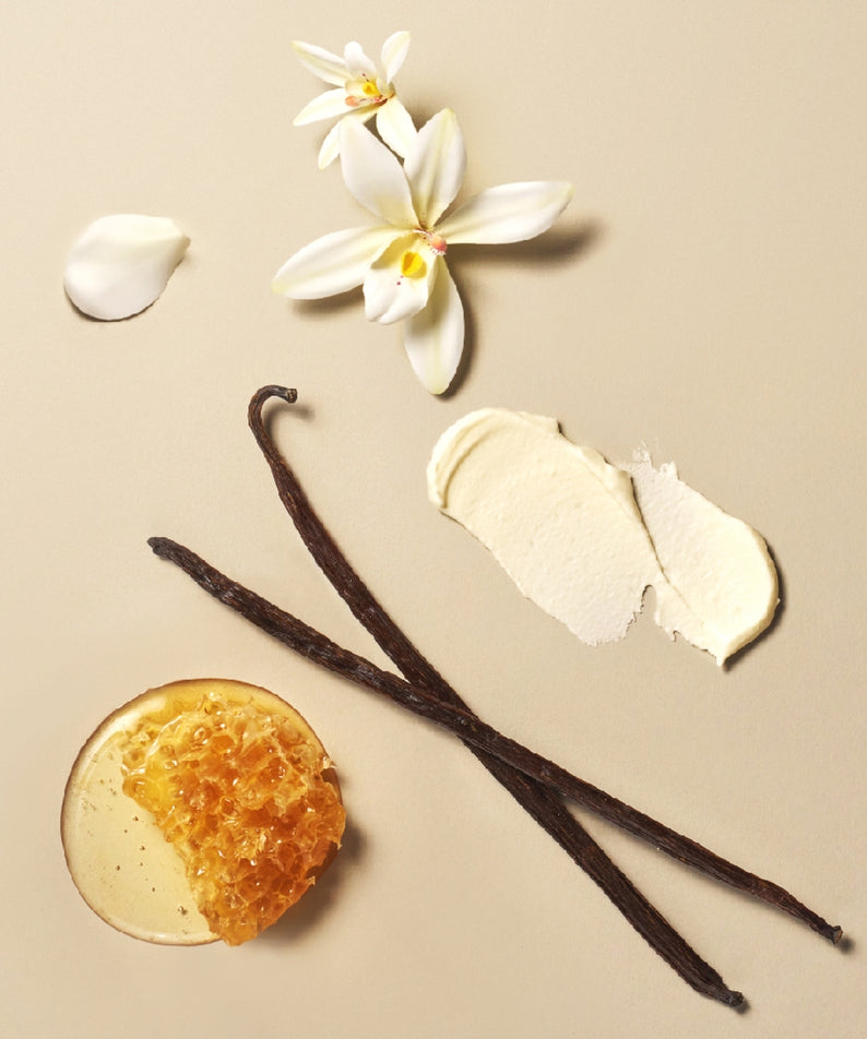 Ingrédients OSULLOC Vanilla Honey Black Tea 20 P avec gousse de vanille, miel et fleurs blanches délicates sur un fond beige.