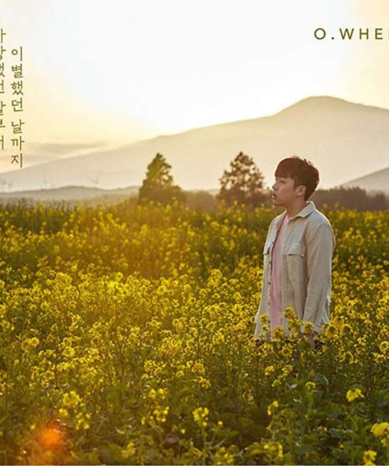 O.WHEN - Album Kpop, couverture marque O.WHEN : jeune en champ de fleurs jaunes, paysage de campagne, concept rêveur