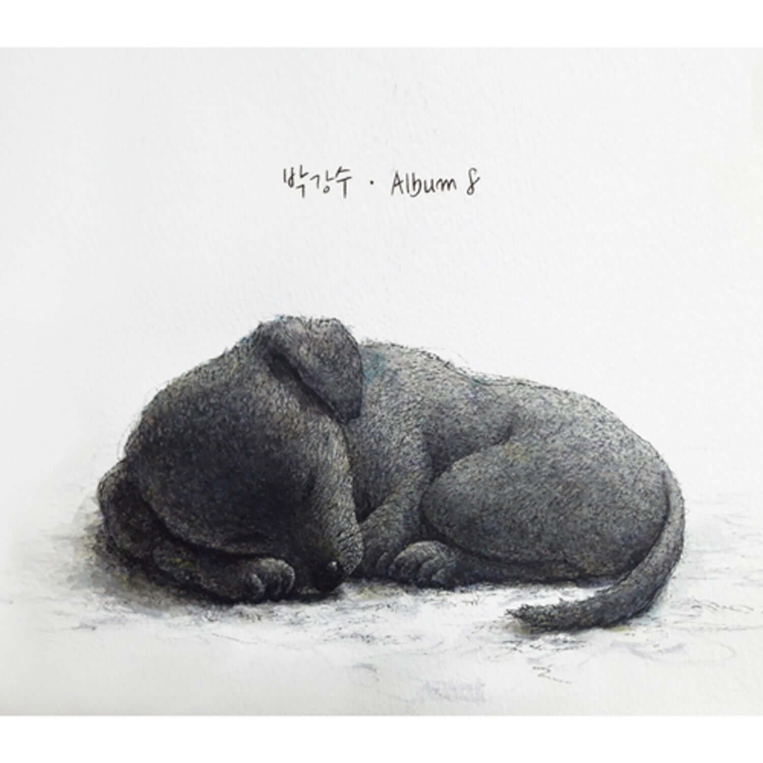 PARK KANGSU - [Album 8] - Album Kpop : pochette minimaliste avec chat couché et texte Album 8, look frais