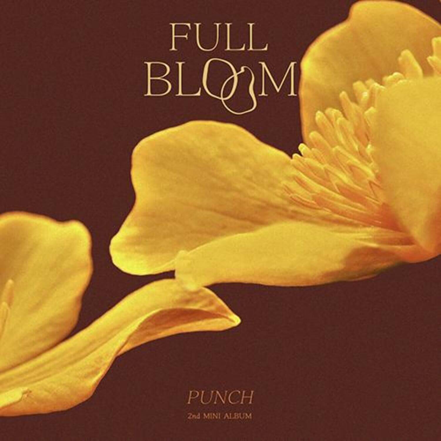 PUNCH - 2nd Album [Full Bloom ] - Album Kpop : pochette avec fleurs jaunes, branding PUNCH et texte FULL BLOOM.