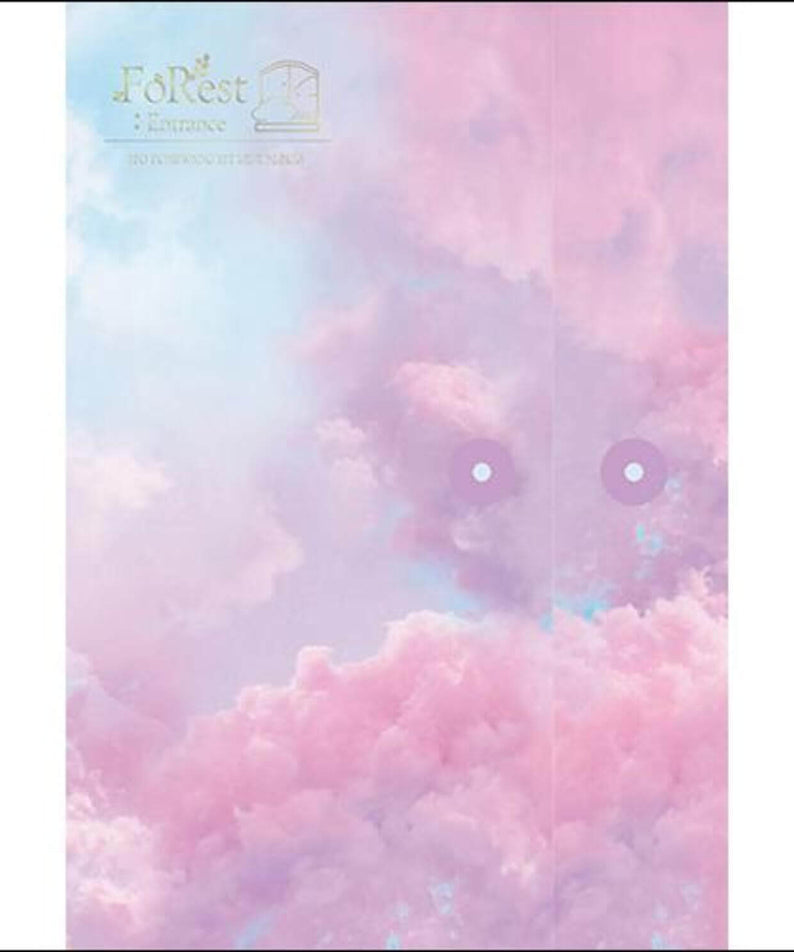 SEO EUNKWANG (BTOB) - [FOREST : ENTRANCE] (LIGHT VER.) - Album Kpop, couverture pastel nuages, marque BTOB, ambiance forêt.