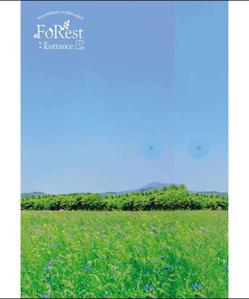 SEO EUNKWANG (BTOB) - [FOREST : ENTRANCE] (SILVER VER.) - Album Kpop : couverture paysage forêt vert bleu, montagne