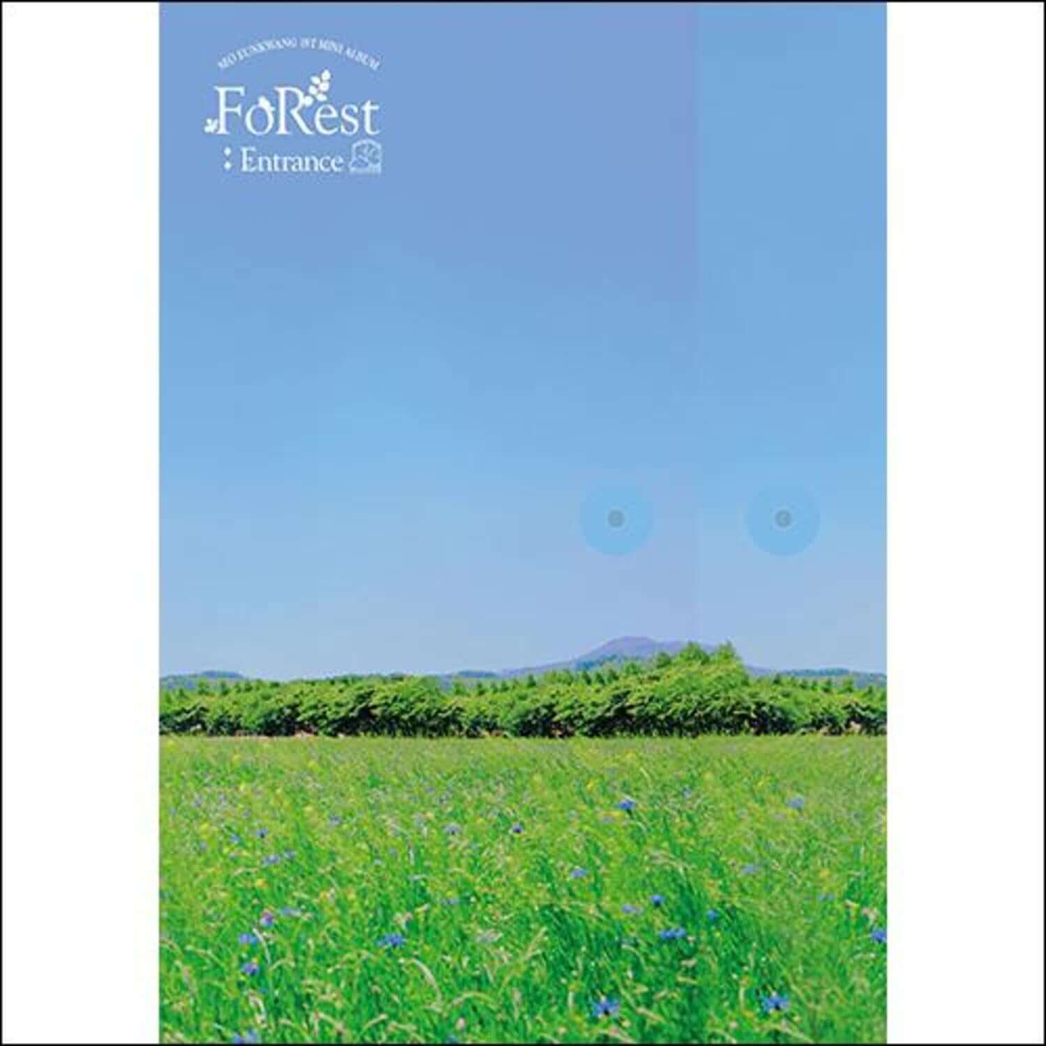 SEO EUNKWANG (BTOB) - [FOREST : ENTRANCE] (SILVER VER.) - Album Kpop : couverture paysage forêt vert bleu, montagne
