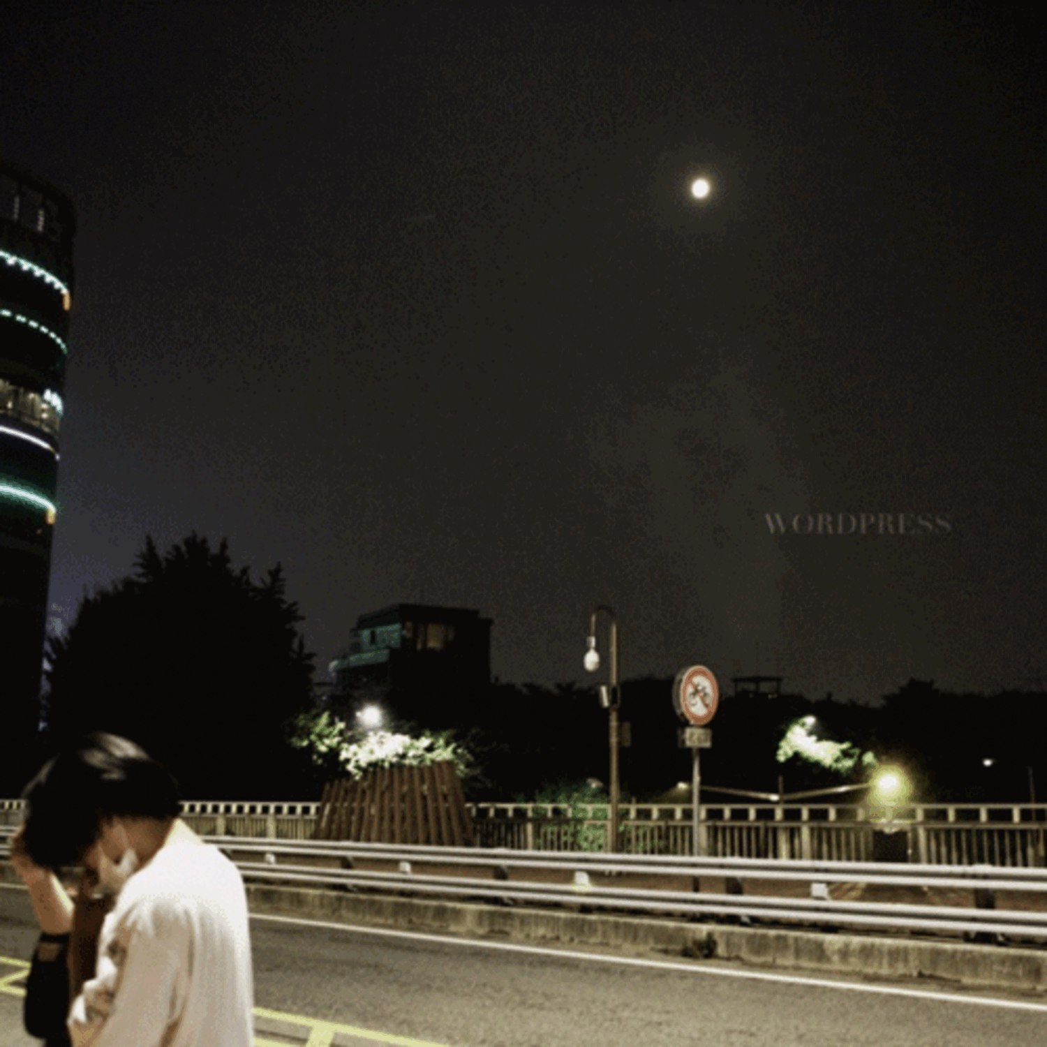 SHARKRAMA - [WORDPRESS] - Album Kpop, visuel de nuit urbaine avec route et panneau WordPress, ambiance vibrante.