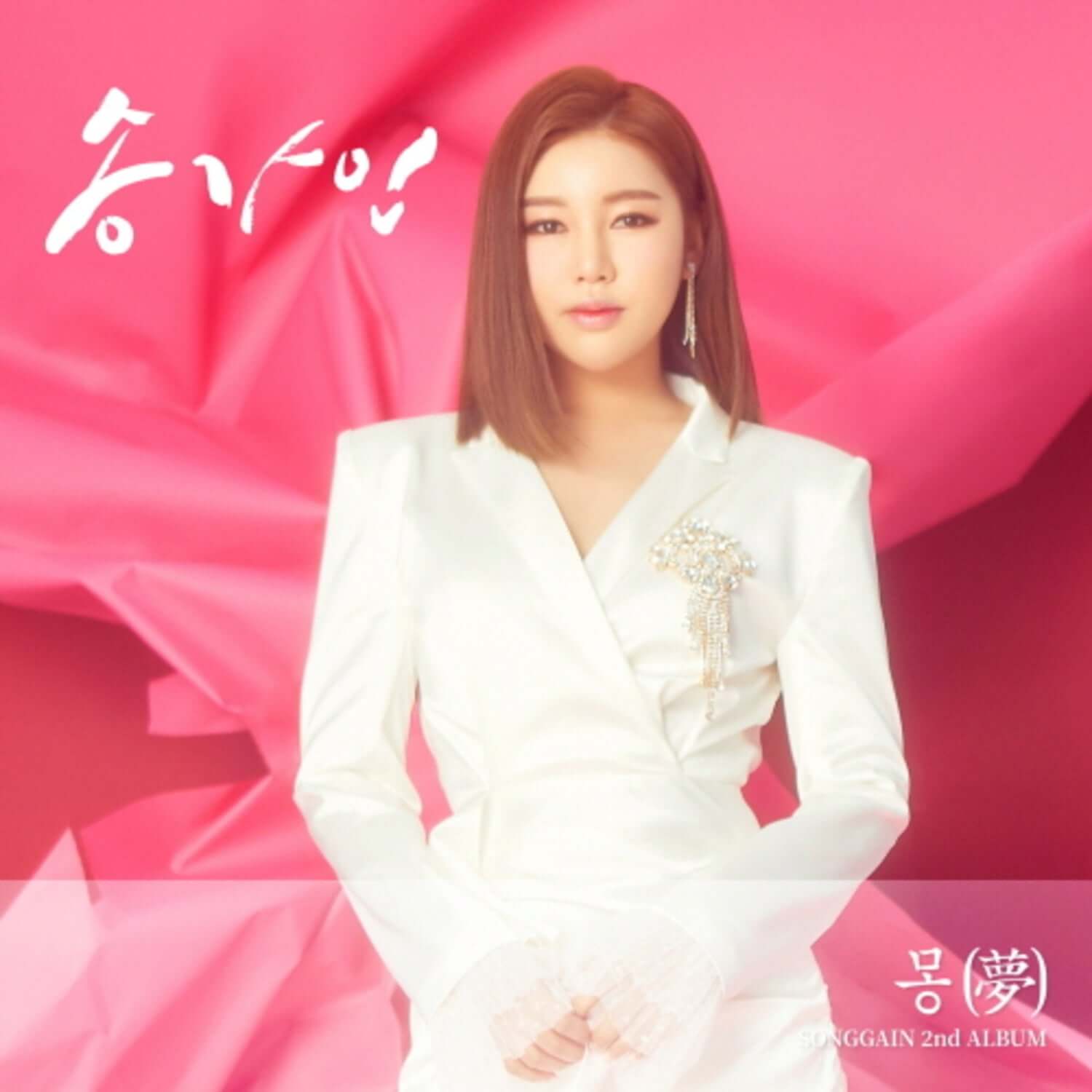 SONG GAIN - 2nd Album [夢] - Album Kpop : couverture avec la chanteuse sur fond drapeau rose, ambiance mature SONG GAIN.