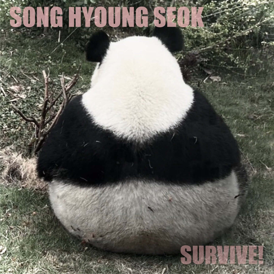 SONG HYUNGSEOK - [SURVIVE] - Album Kpop